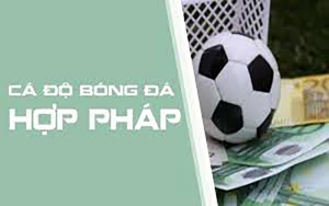 cá độ bóng đá hợp pháp tại Việt Nam