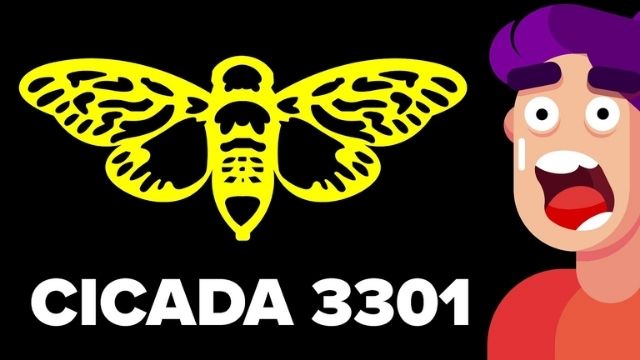 Cicada 3301 là gì